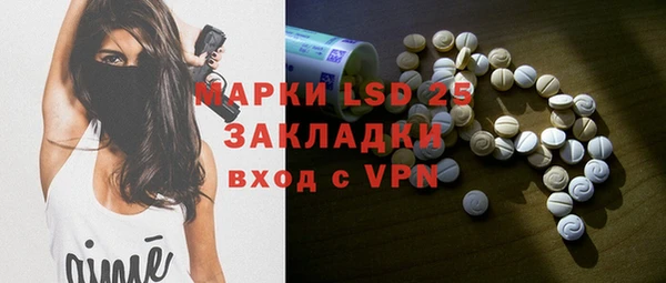 PSILOCYBIN Гусев