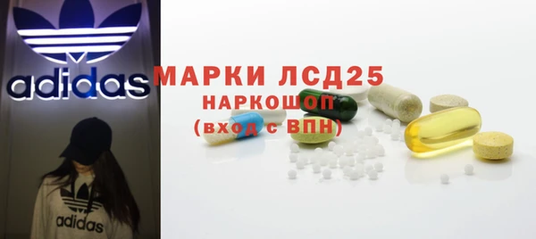 PSILOCYBIN Гусев