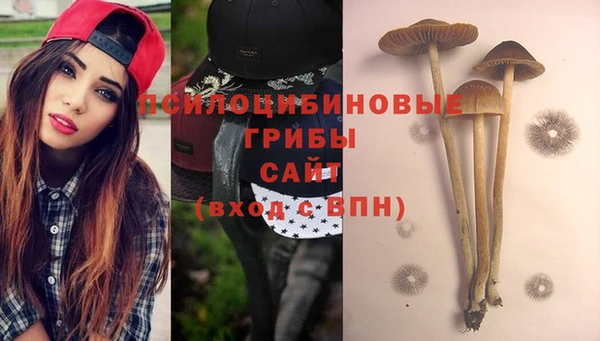 PSILOCYBIN Гусев