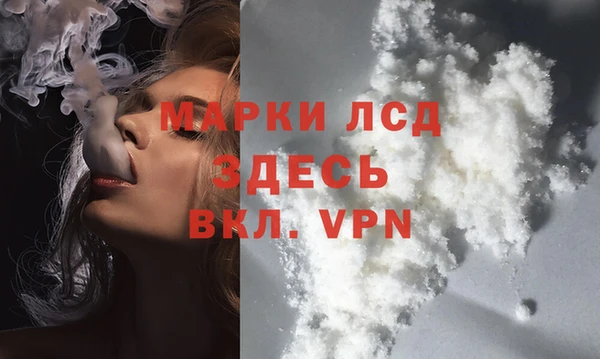PSILOCYBIN Гусев