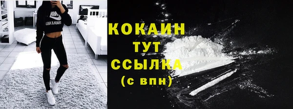PSILOCYBIN Гусев